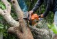 How to Identify When It’s Time to Replace Your Chainsaw Bar