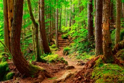 The Ultimate Guide to Trail Etiquette: Tips for Enjoying Nature Respectfully