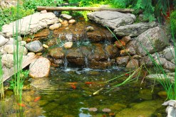 Fishing Small Streams: Tips from Experts for Reaping Great Rewards