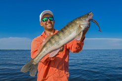 Comparing Top Brands: Which Fishing Sunglasses Offer the Best Glare Reduction?
