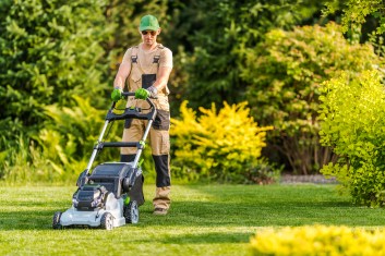 Transform Your Garden: Essential Cordless Tools for Effortless Landscaping
